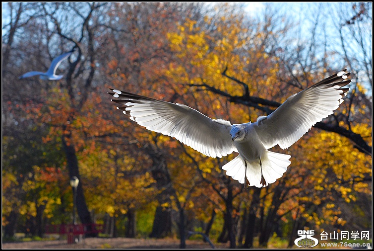 DSC_7331.JPG