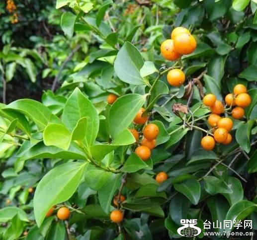 微信截图_20161201024417.jpg 微信截图_20161201024417.jpg