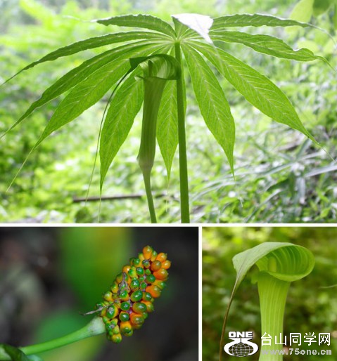 微信截图_20161201023805_副本.jpg 微信截图_20161201023805_副本.jpg