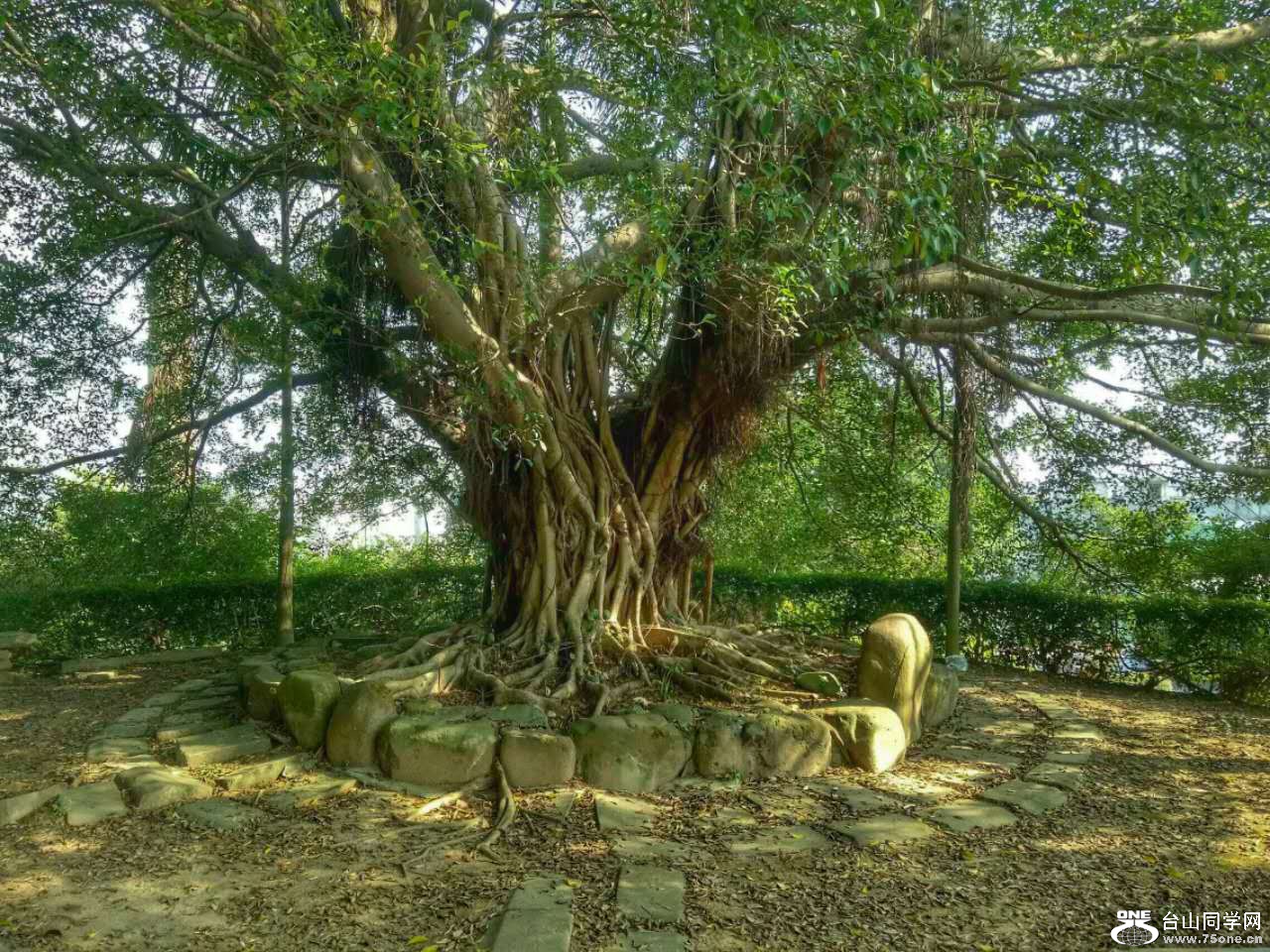 909365314293651288.jpg