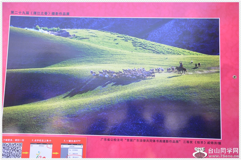 DSC_0124.jpg