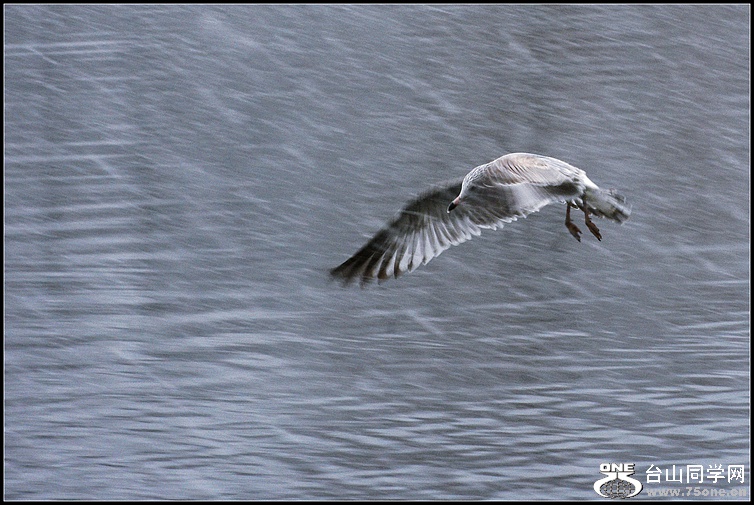 DSC_9267.JPG