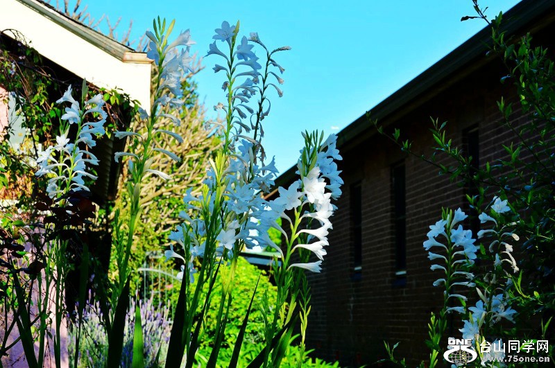 DSC_4490_conew1.jpg
