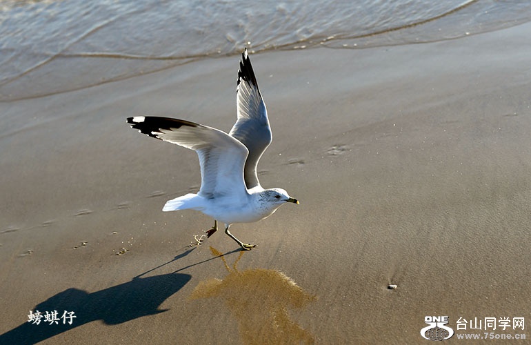 DSC_00123228.jpg