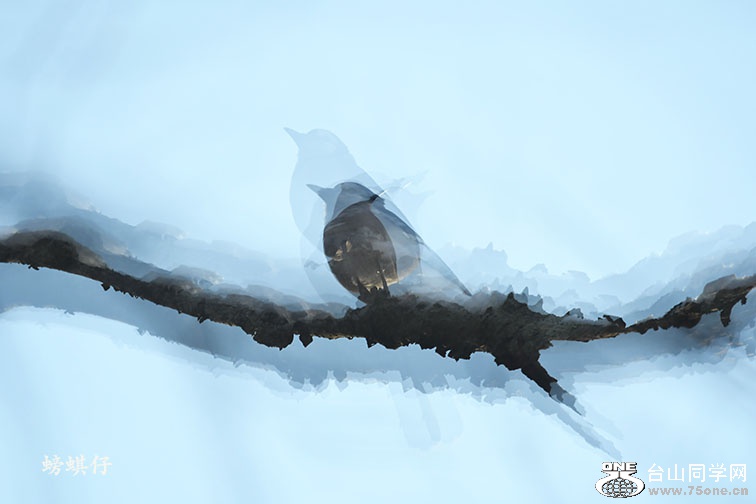 DSC_00123306.jpg