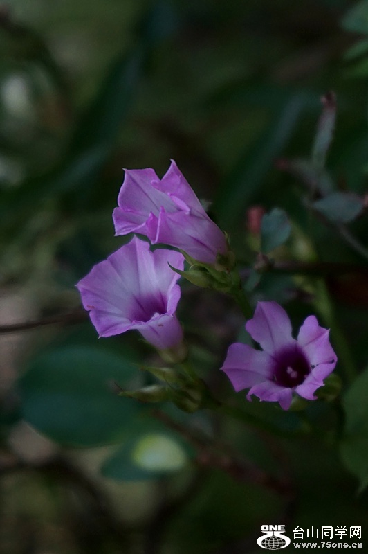 DSC08627.JPG