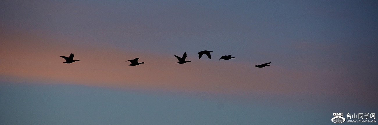 DSC_6719_44.jpg