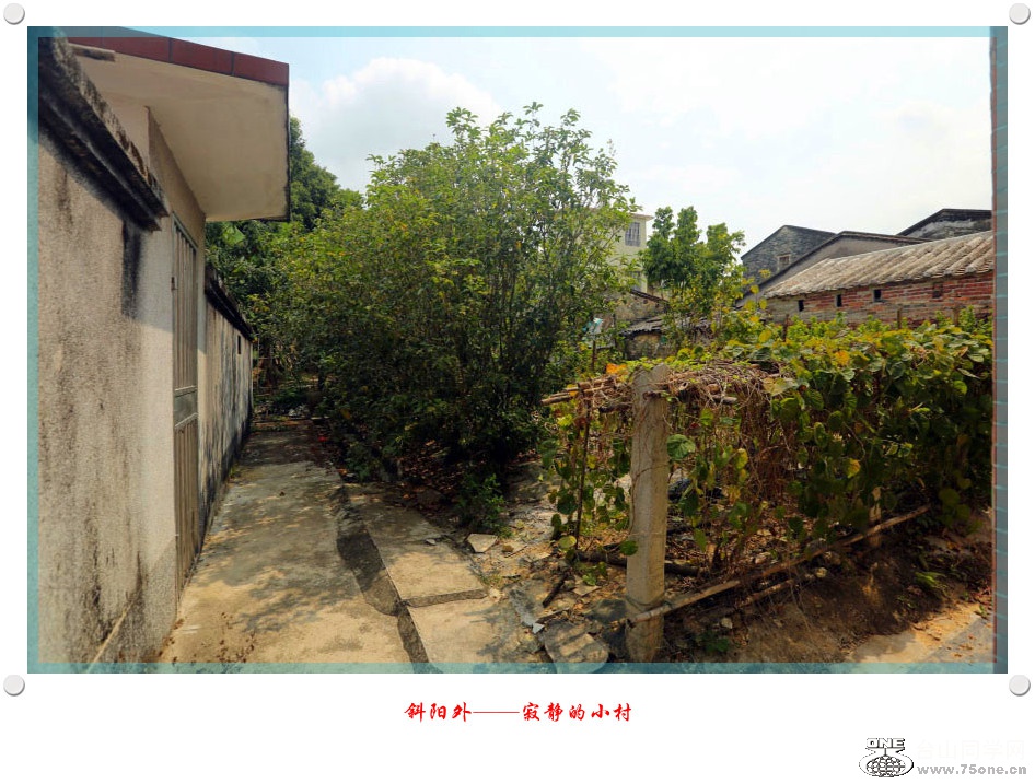 257A06642015.2.25__.jpg