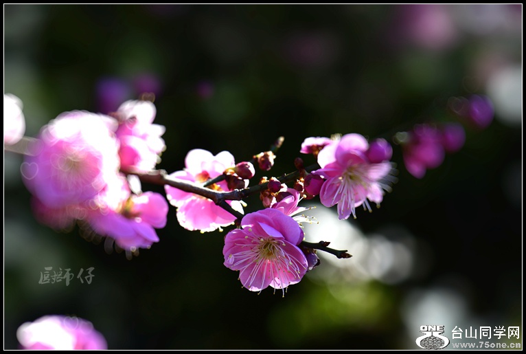 _DSC9771-Exposure.JPG