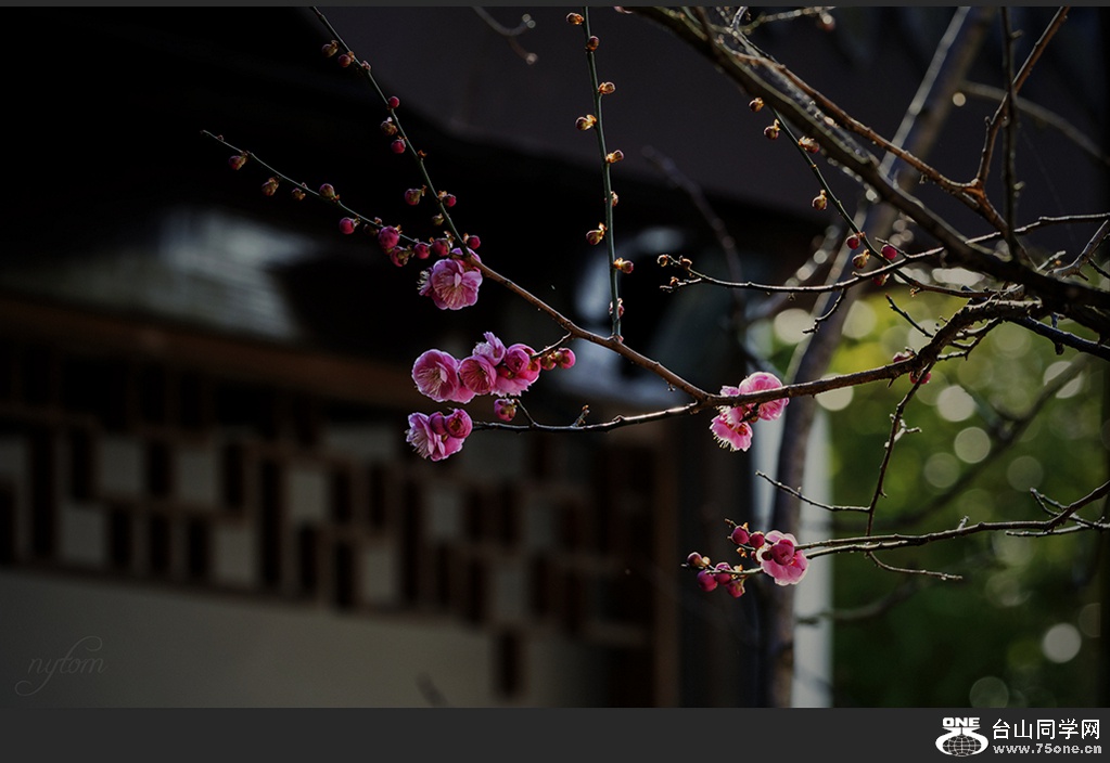 DSC_3759_.jpg