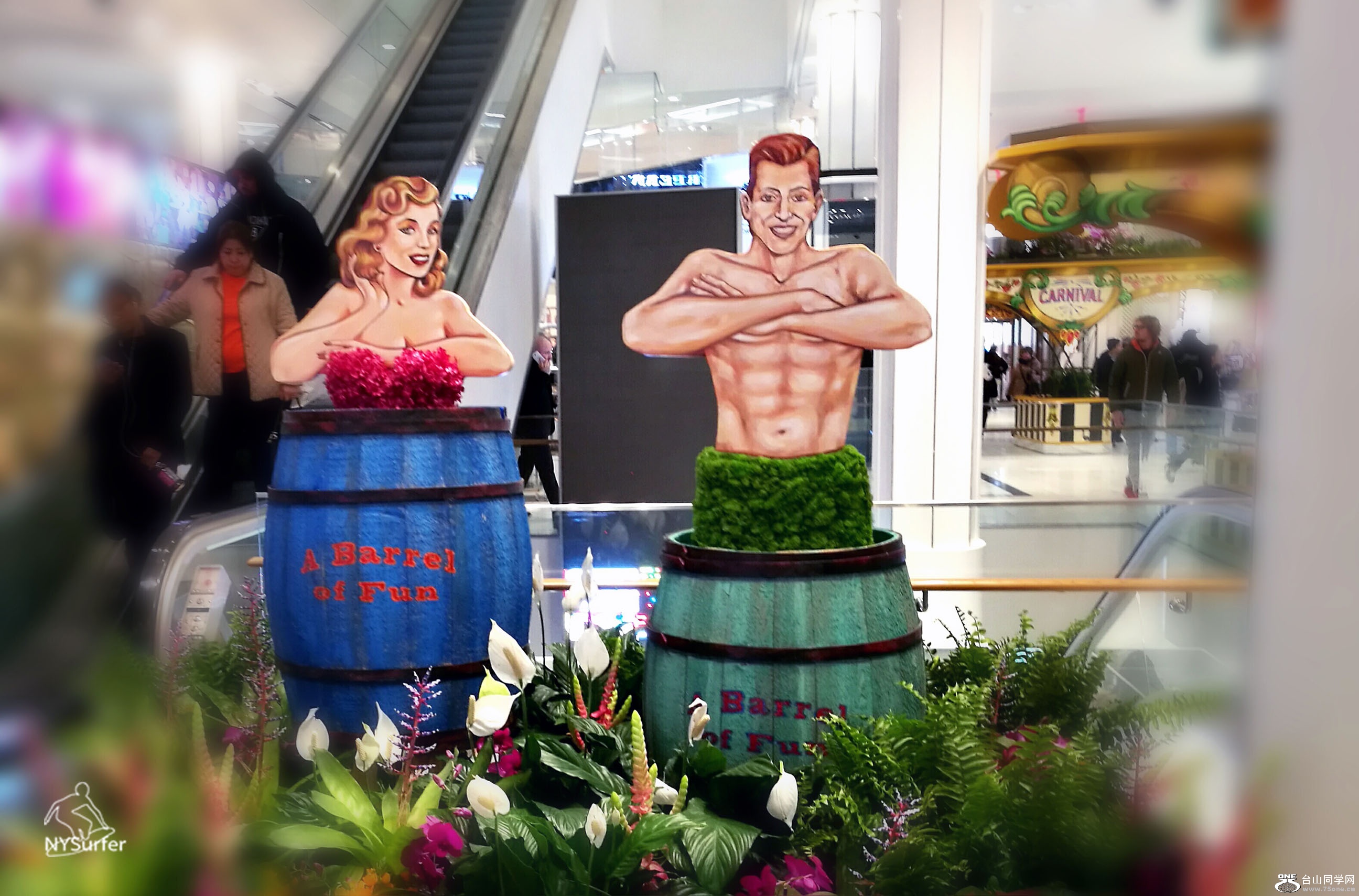 IMG_20170323_144335 copy.jpg