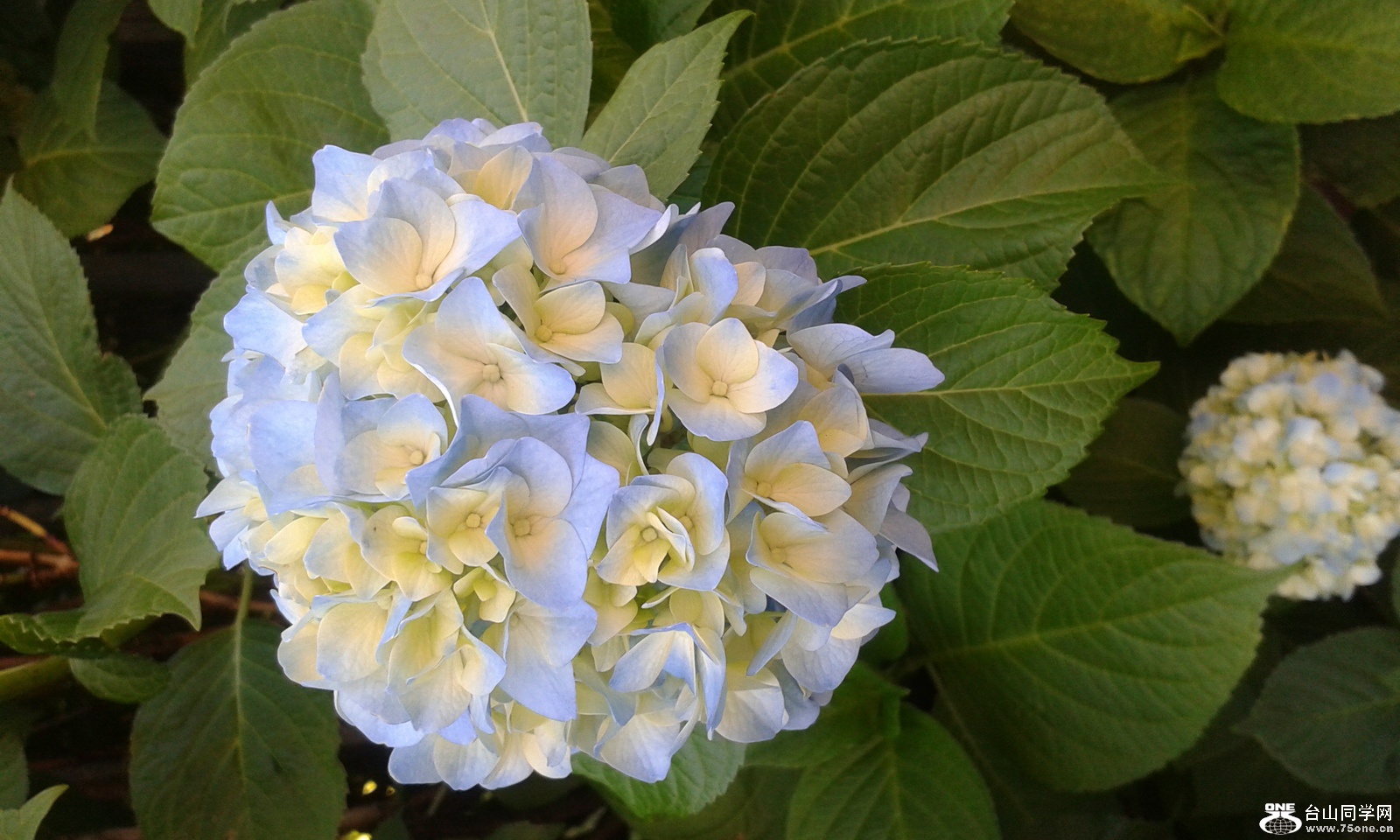 44d96d7.jpg