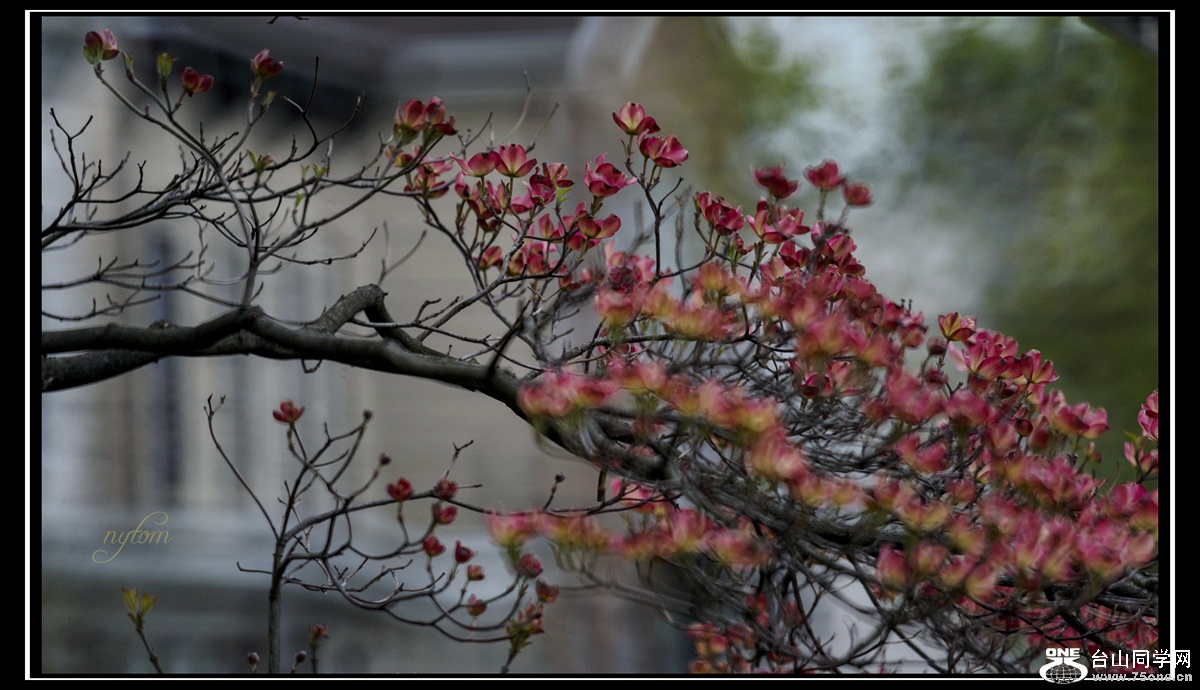 DSC_7604_.jpg