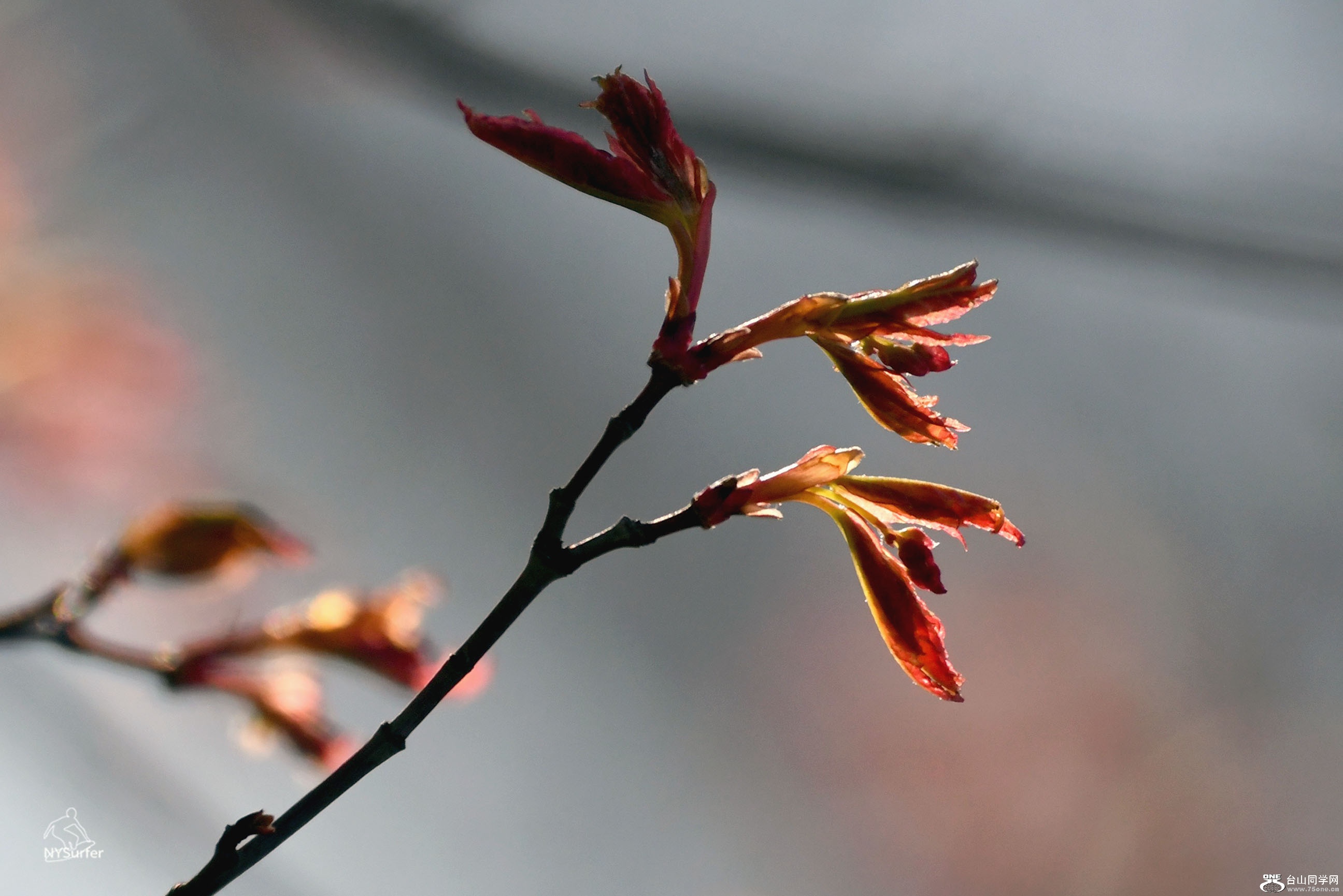 DSC_11213.jpg