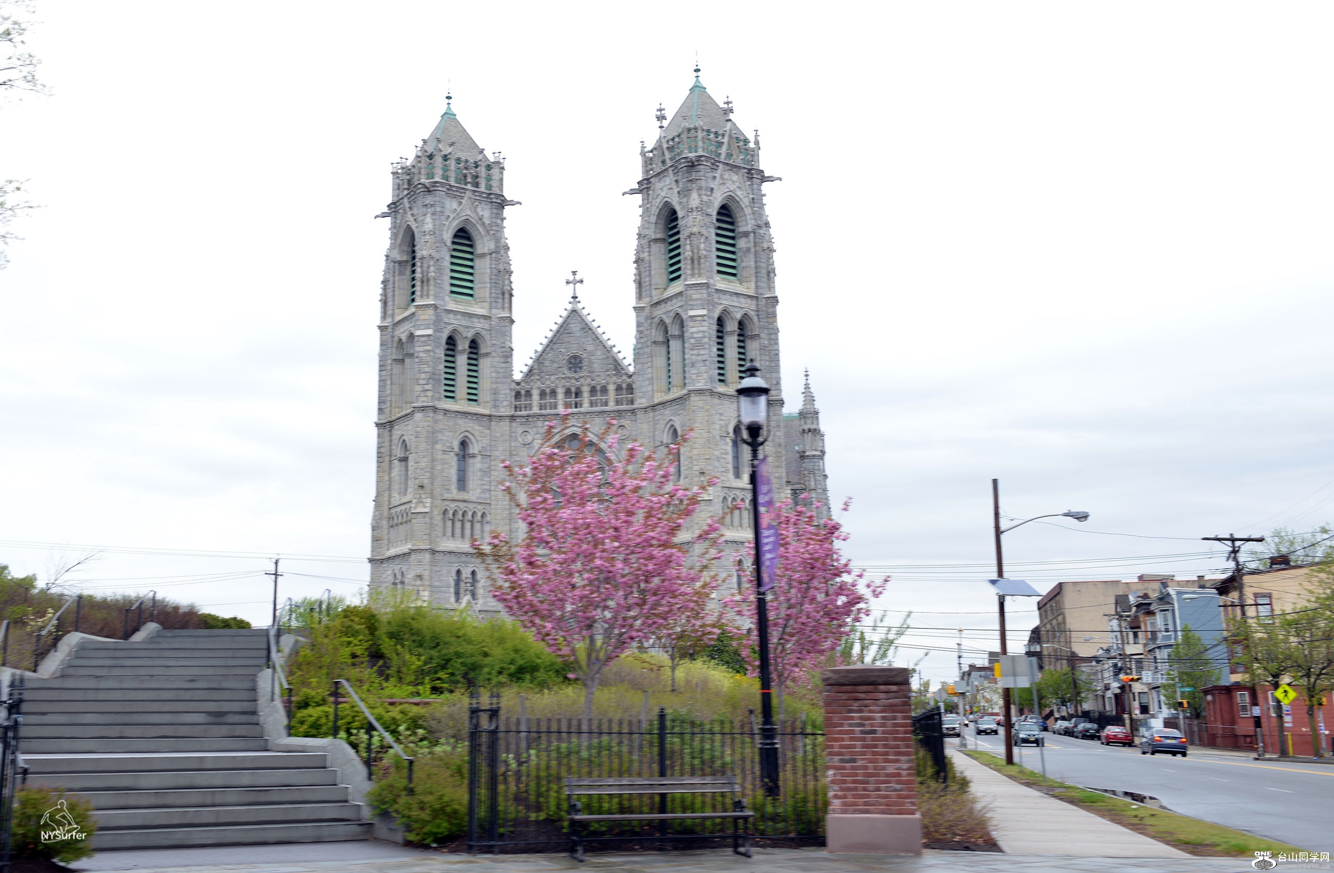 DSC_51106.jpg