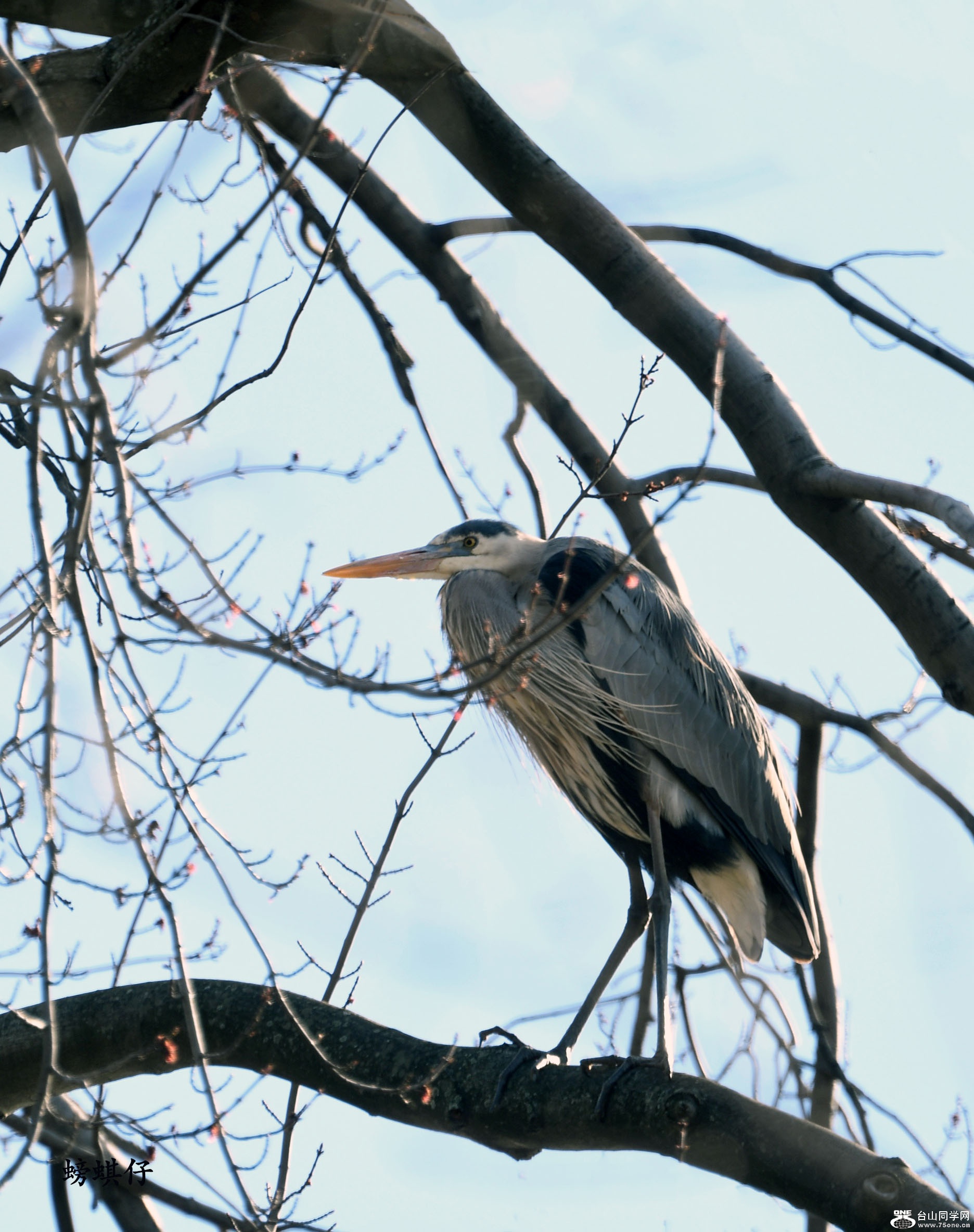 DSC_00123203.jpg