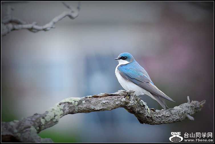 DSC_3260.JPG