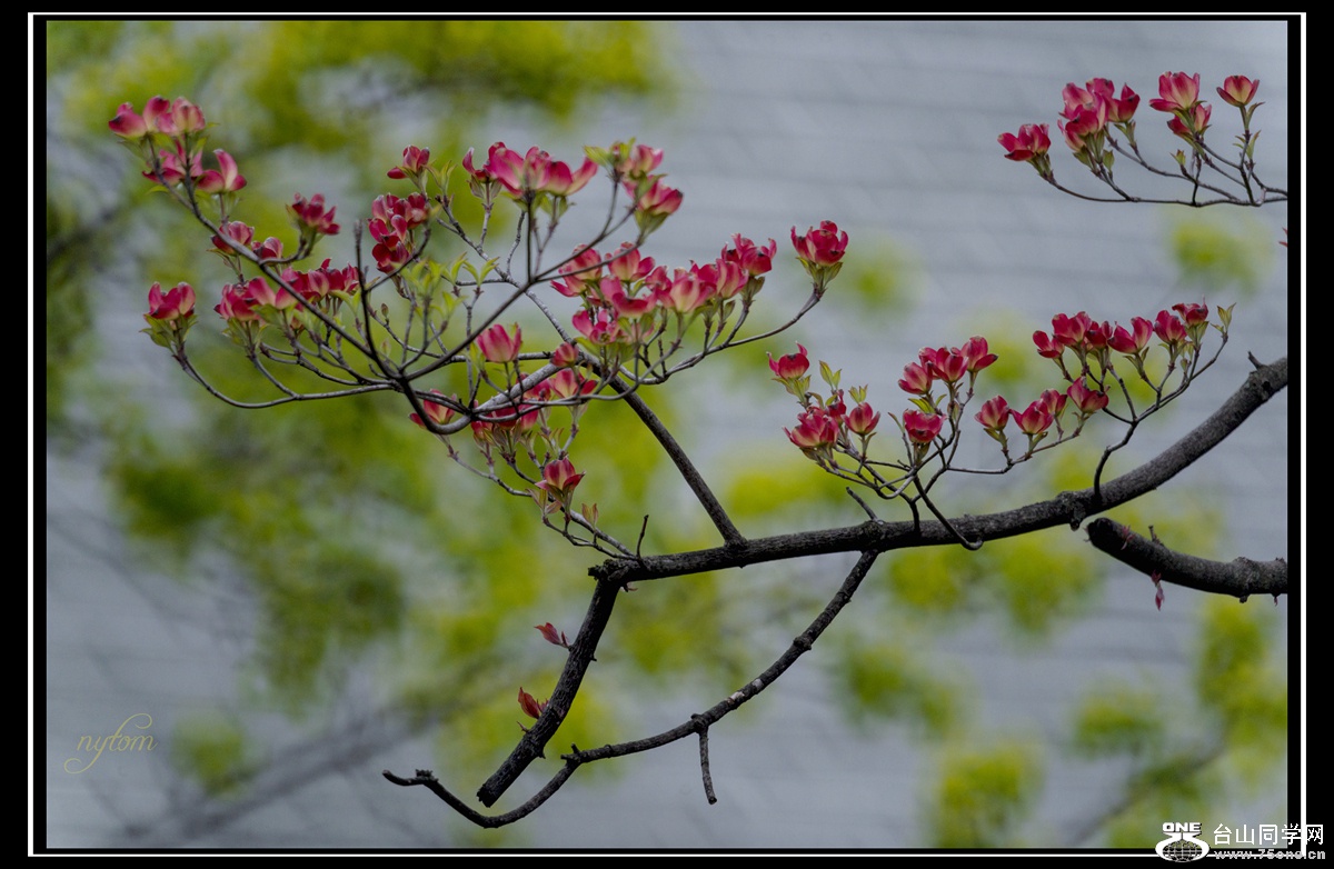 DSC_7637_.jpg