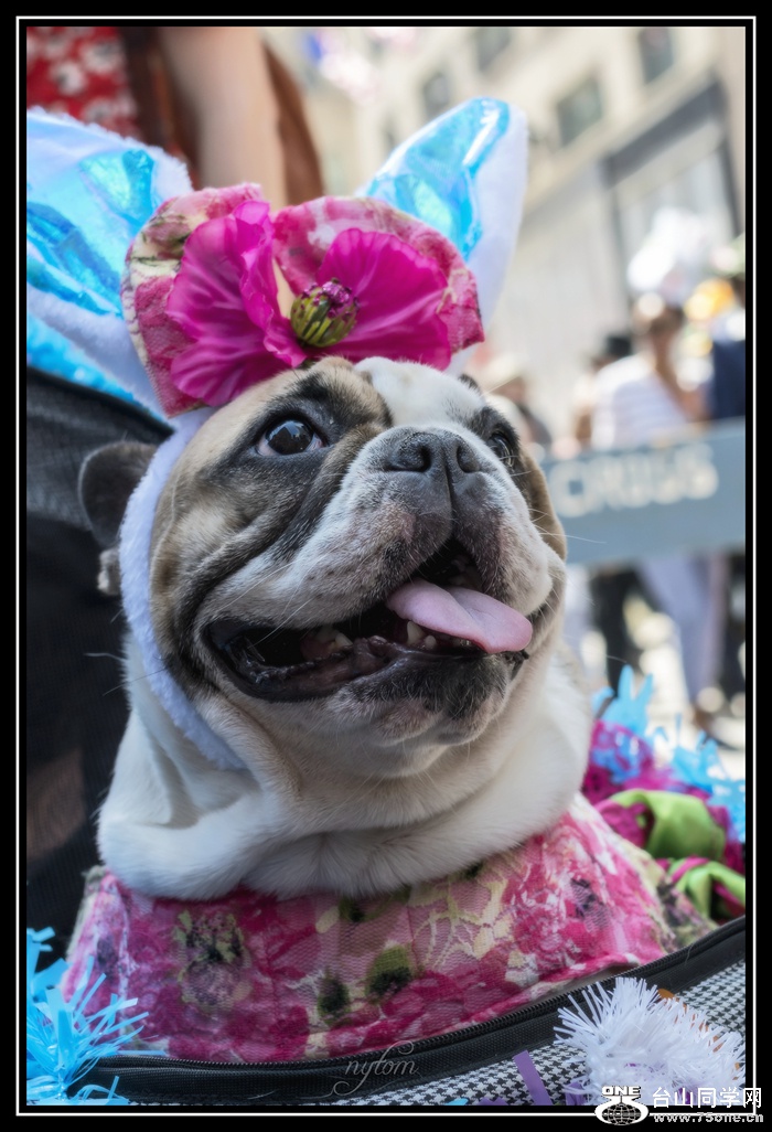 DSC_0657_.jpg
