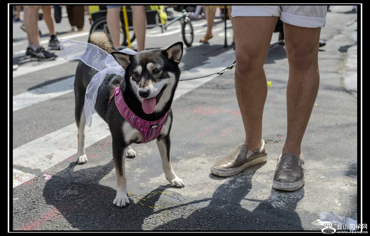 DSC_1190_.jpg