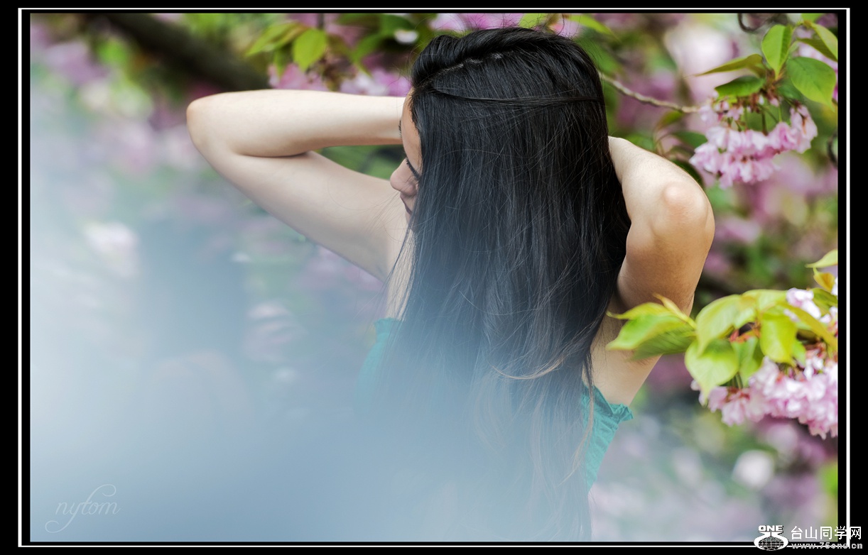 DSC_2679_.jpg