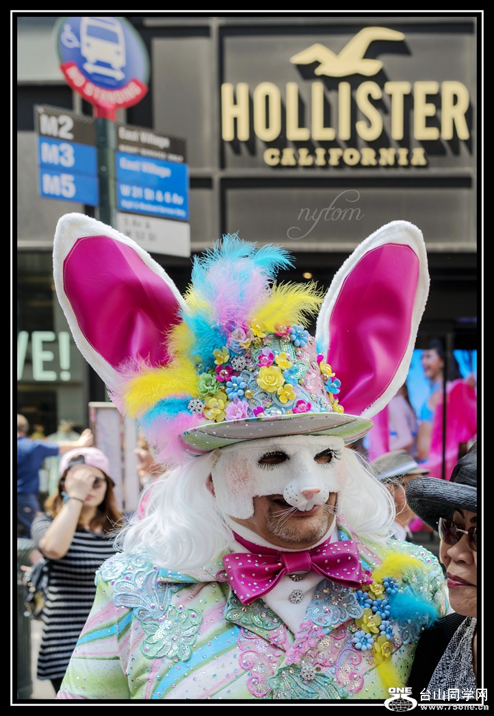 DSC_0364_.jpg