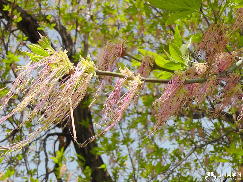 H3770025.JPG