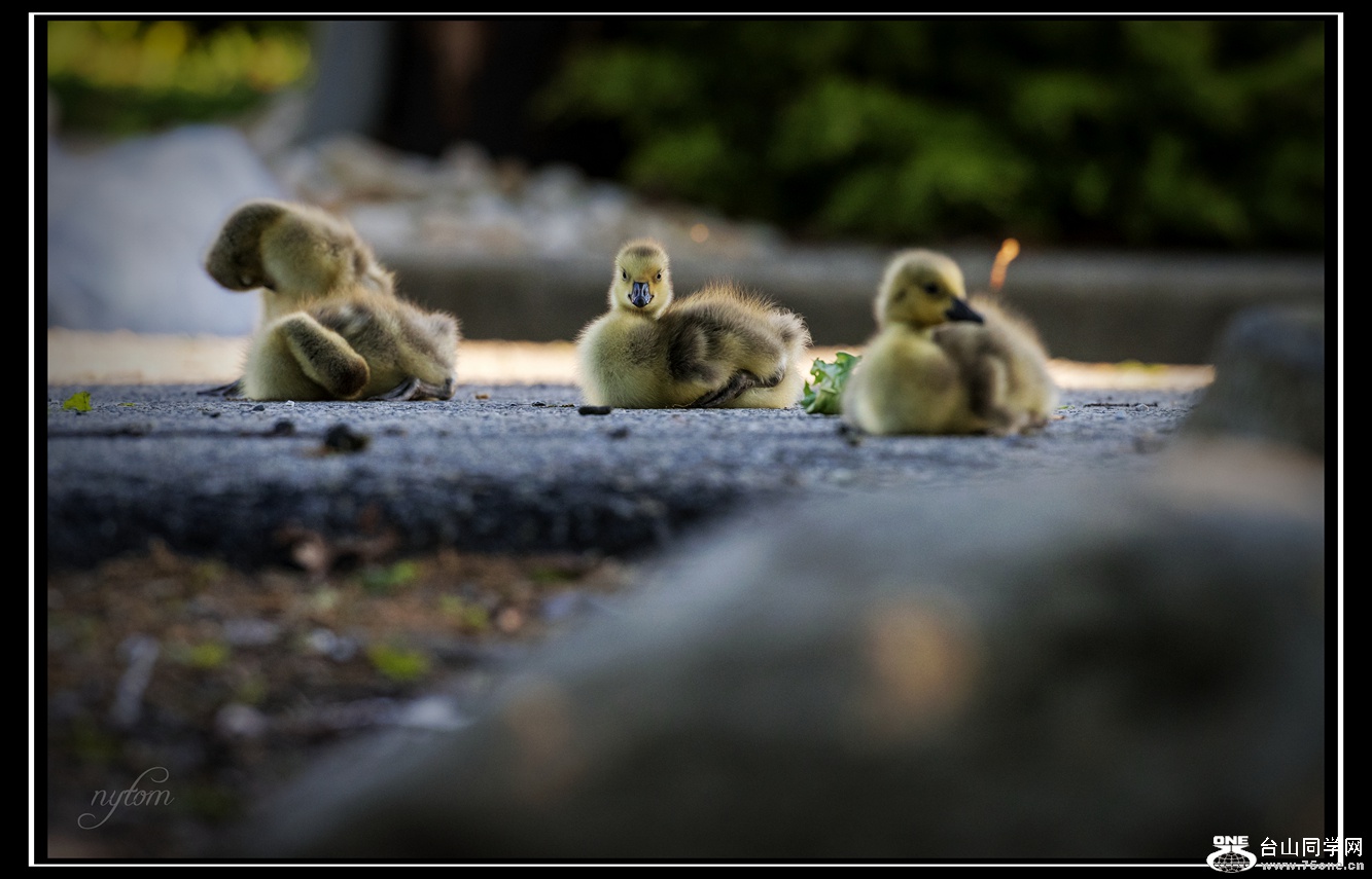 DSC_2770_.jpg