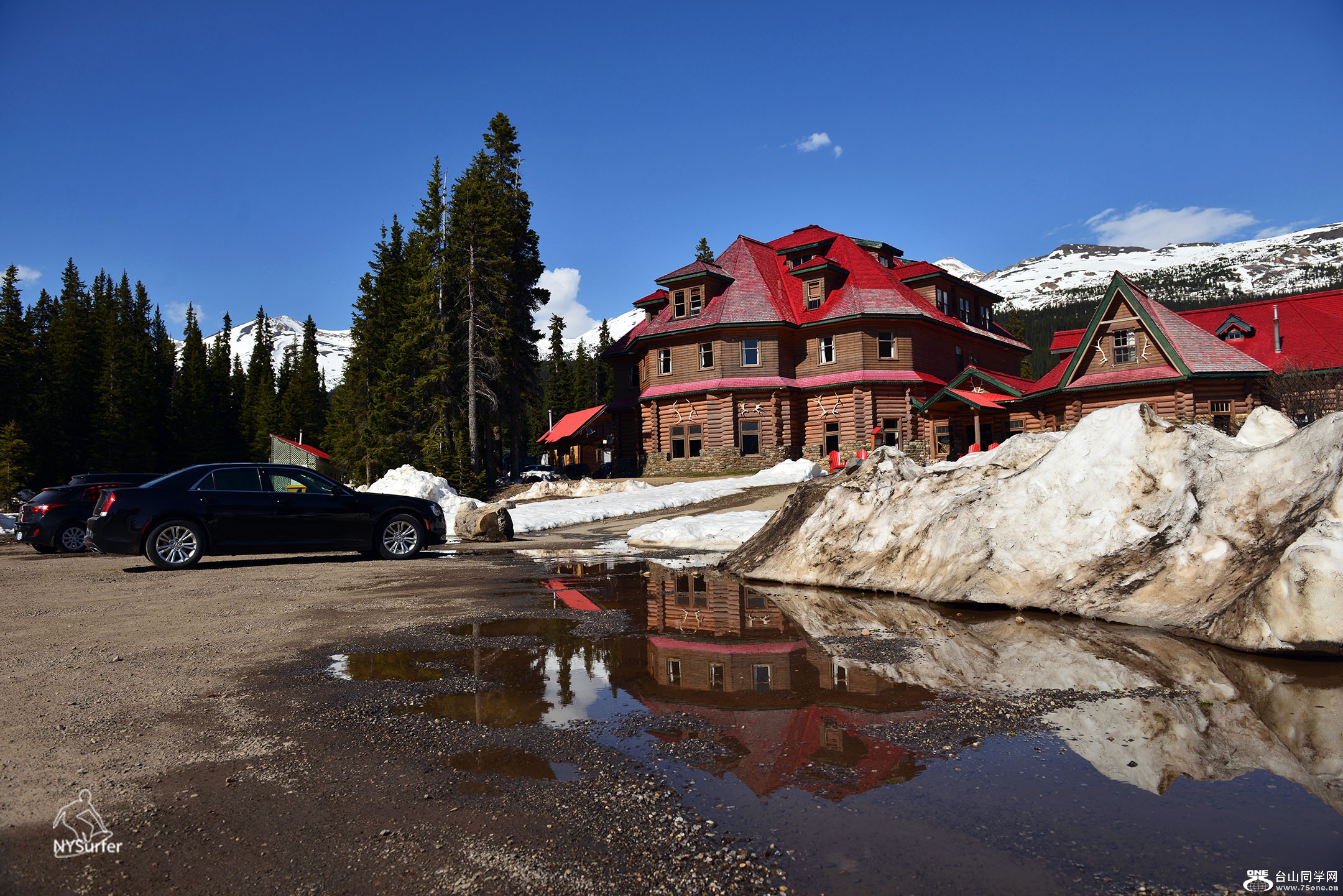 DSC_11010.jpg