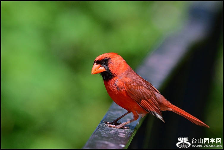 DSC_9177.JPG