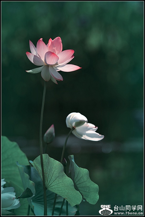 DSC_8836.jpg