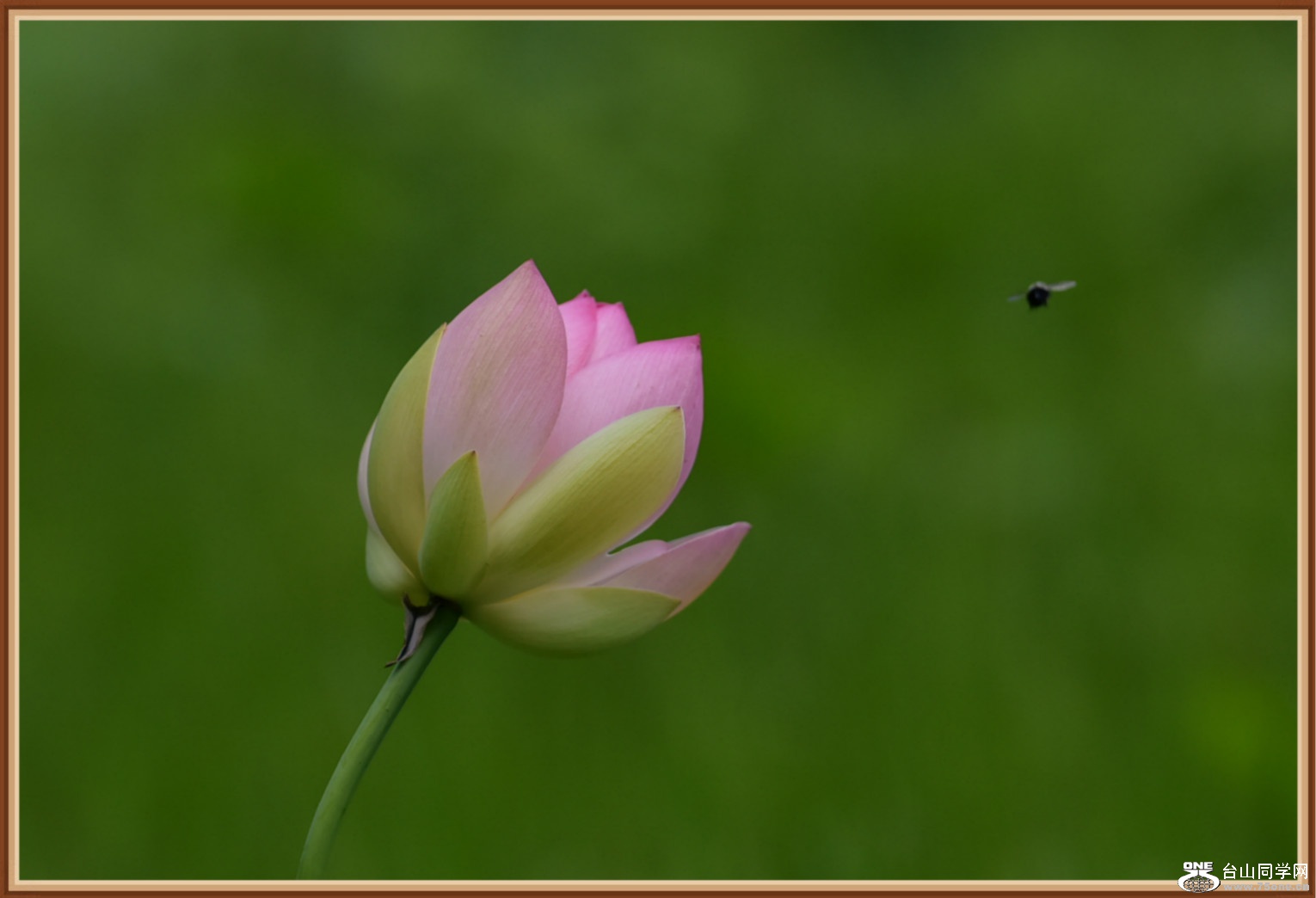 DSC_7664.JPG