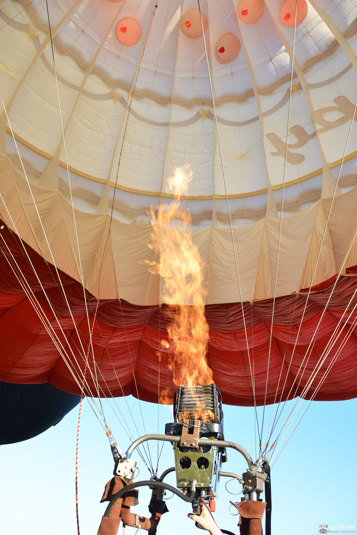 DSC_71767.jpg