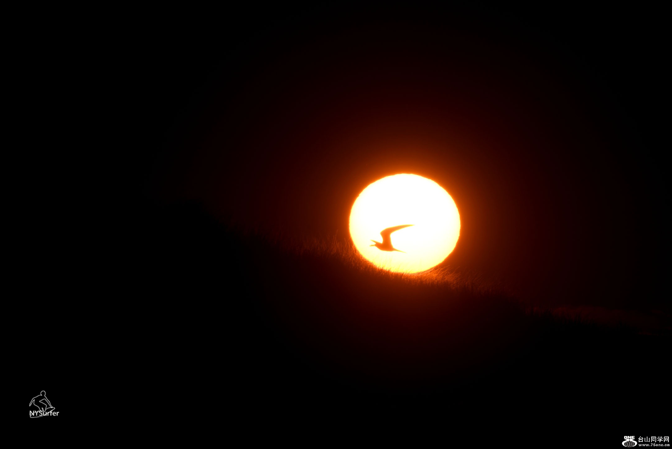 DSC_11507.jpg