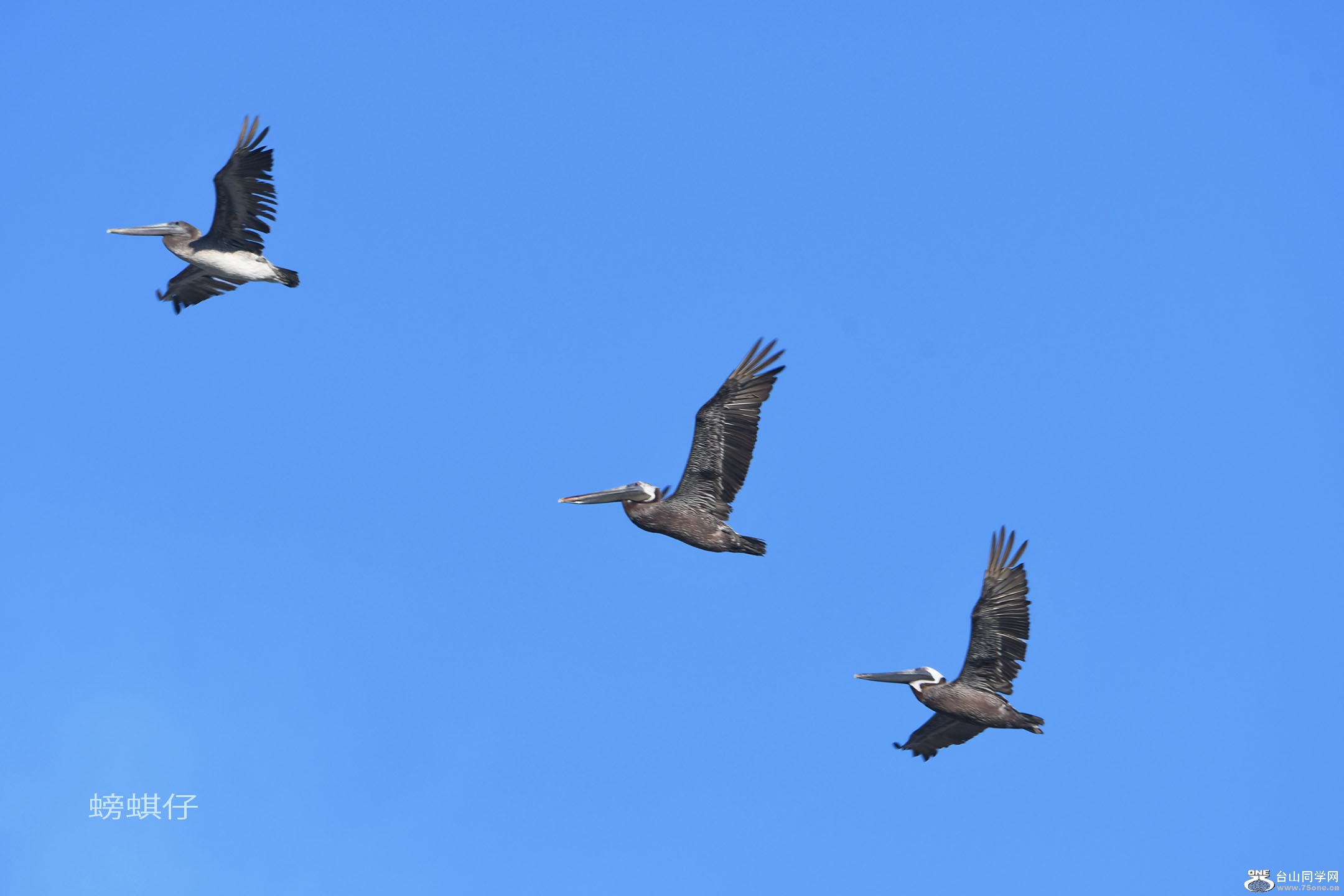 DSC_001239001g.jpg