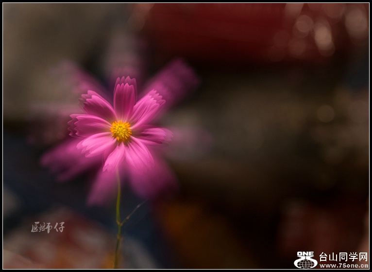 DSC_3389_.jpg