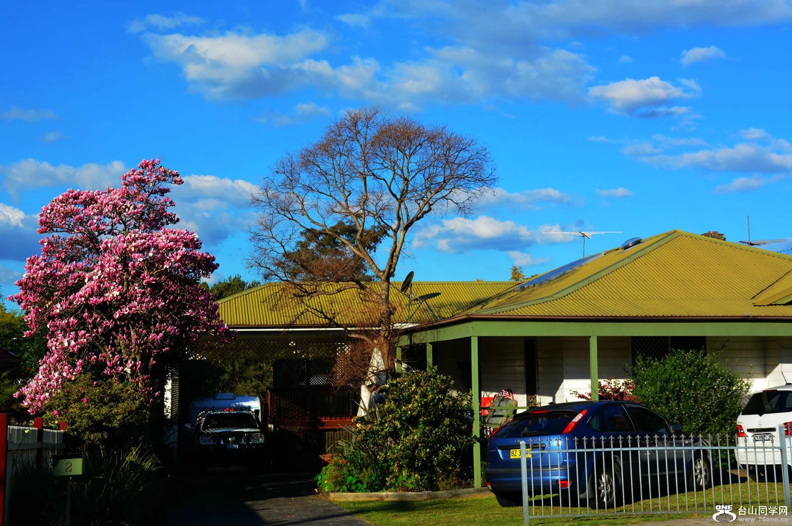 DSC_4403.jpg