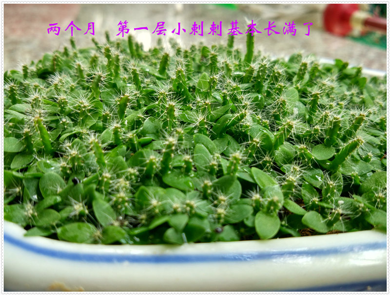 17IMG_20170721_105046_HDR .jpg