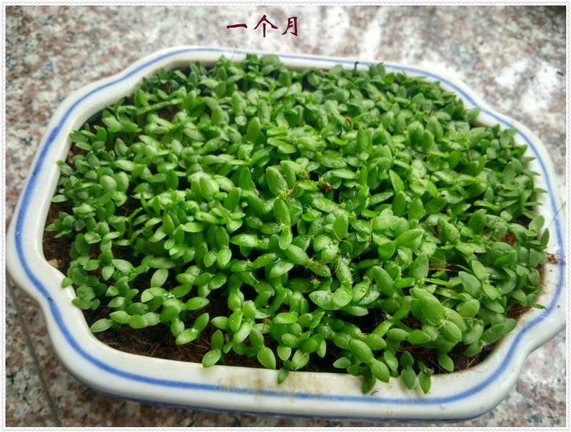 10.1IMG_20170620_154601_HDR .jpg