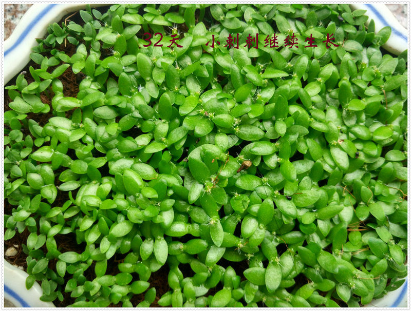 11.2IMG_20170622_101744_HDR .jpg