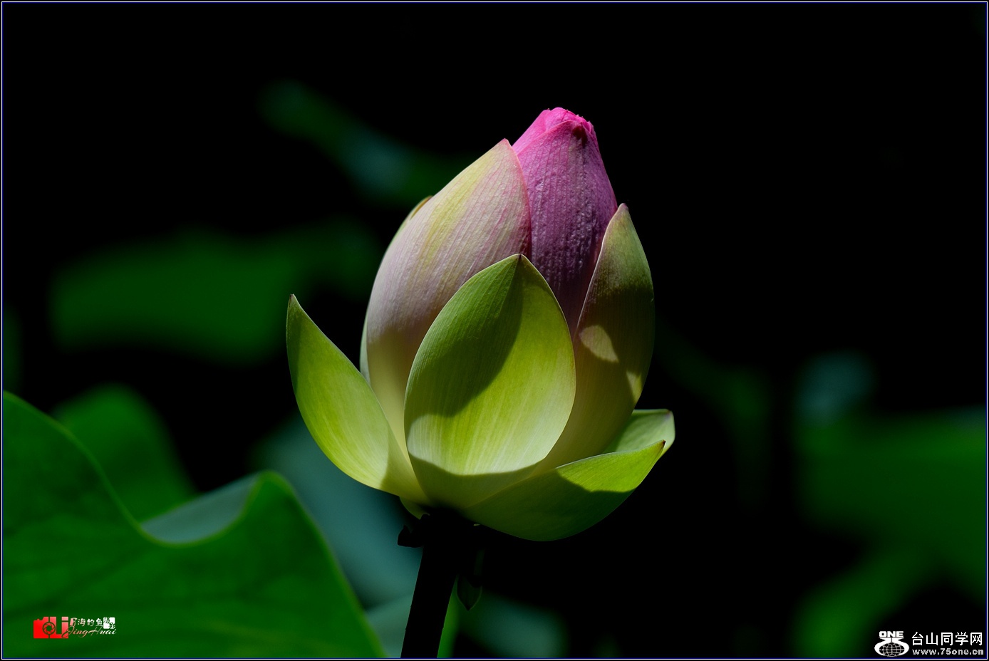 DSC_6573.jpg