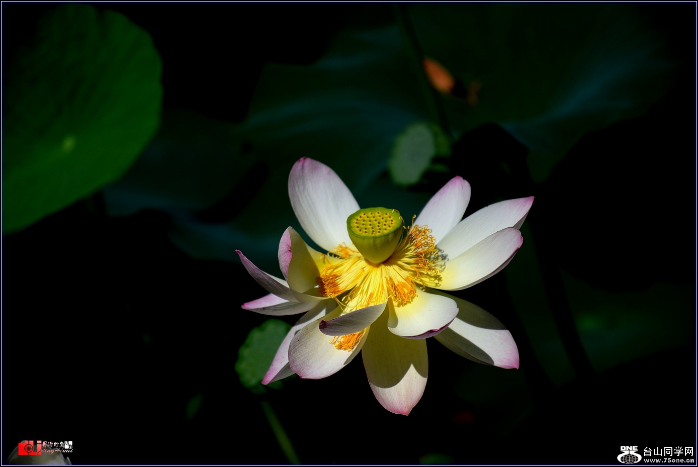 DSC_3683_.jpg