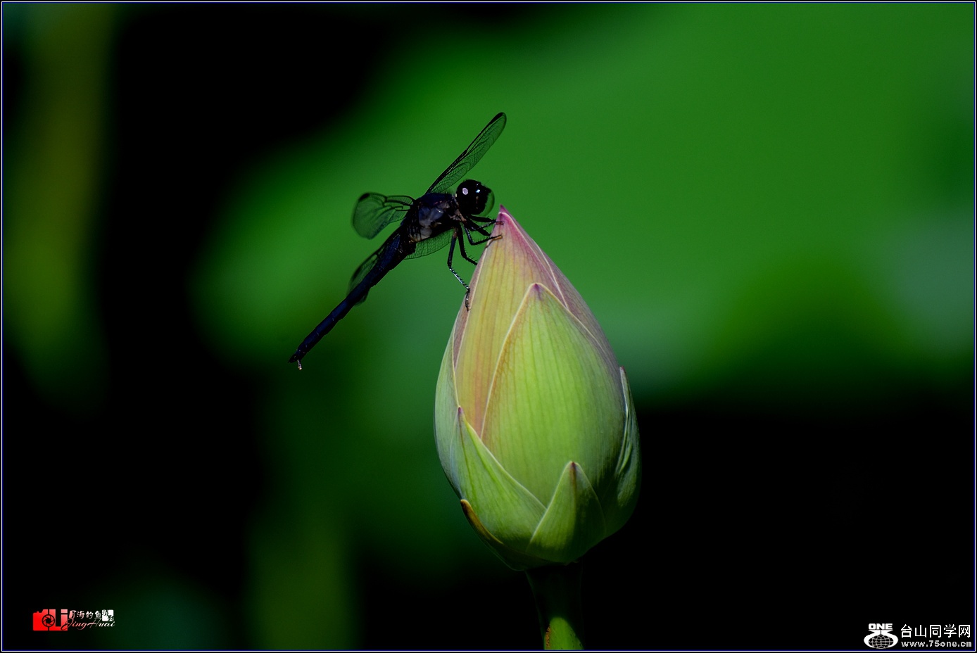 DSC_6496.jpg