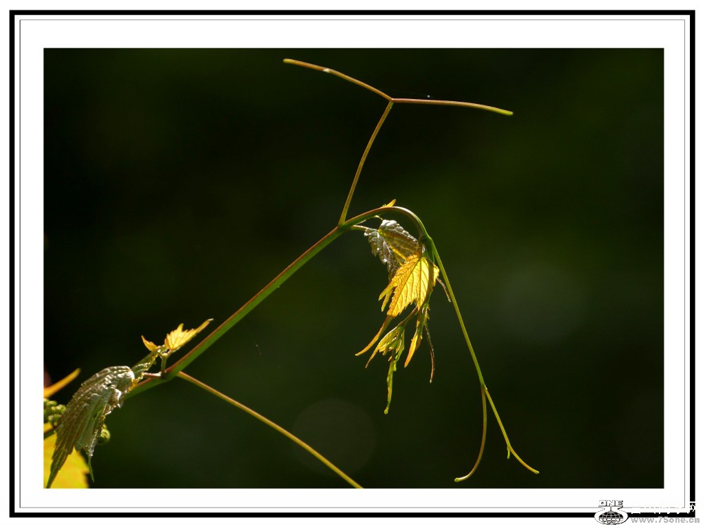 L3020630_conew6.jpg