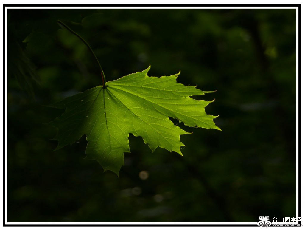 L3020752_conew2.jpg