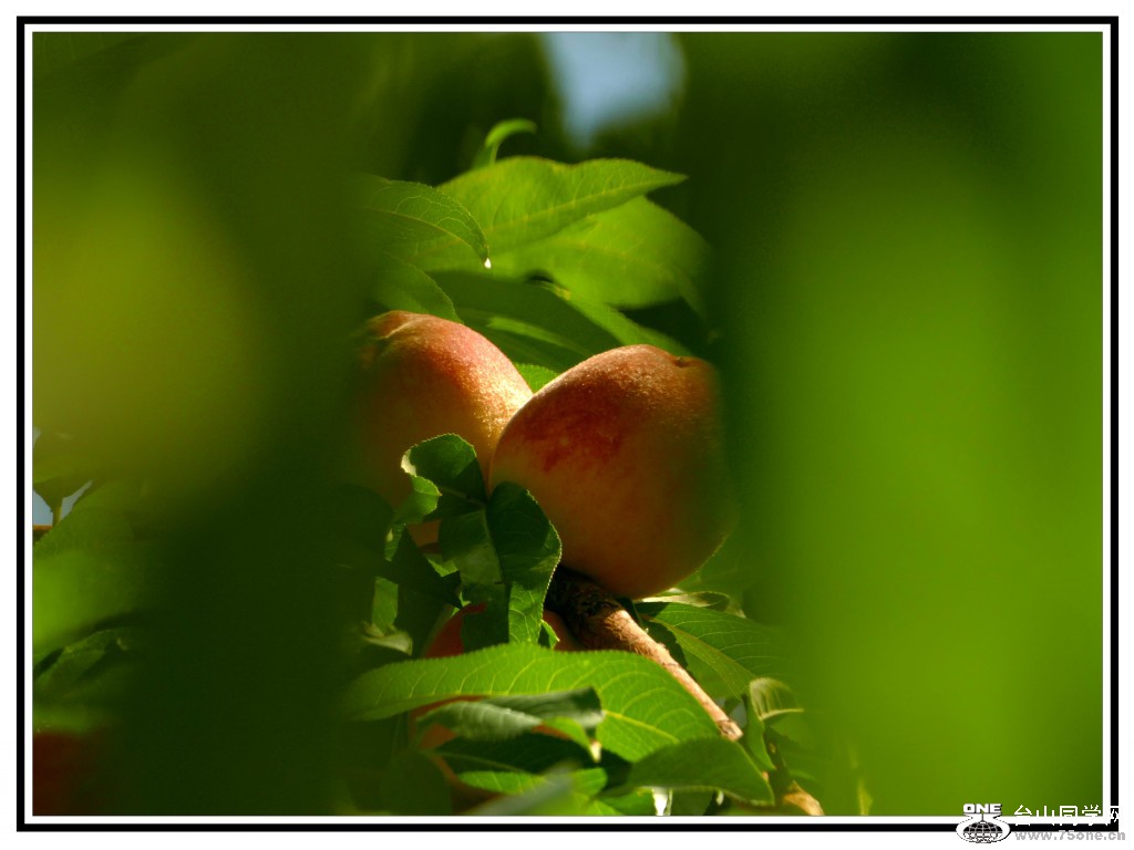 L3020273_conew1.JPG