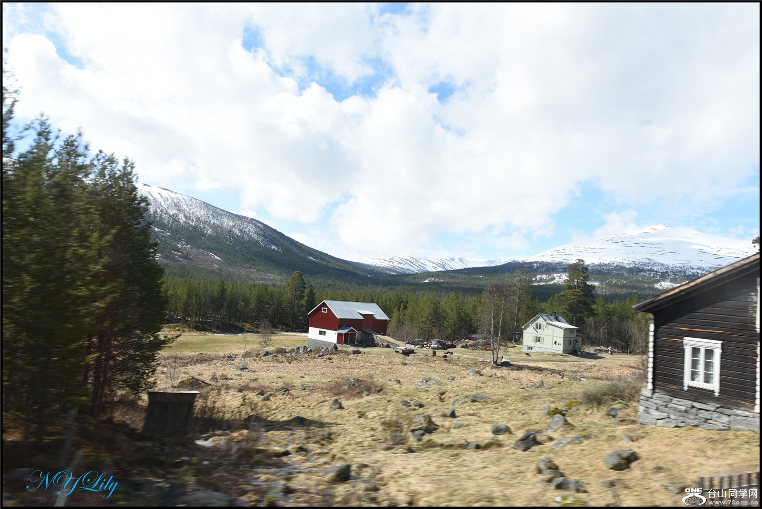 DSC_2550.jpg