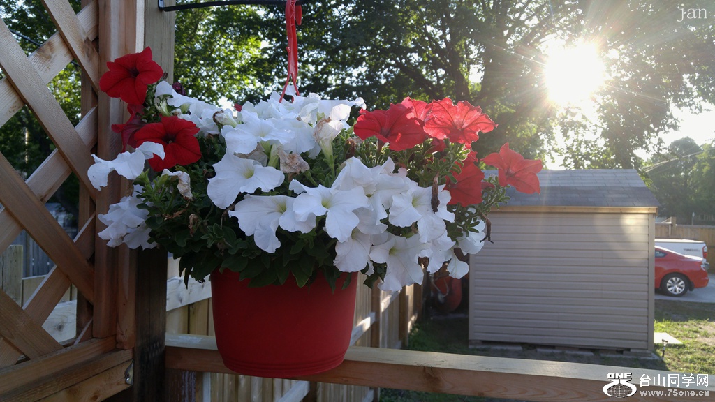 20170806_190751.jpg