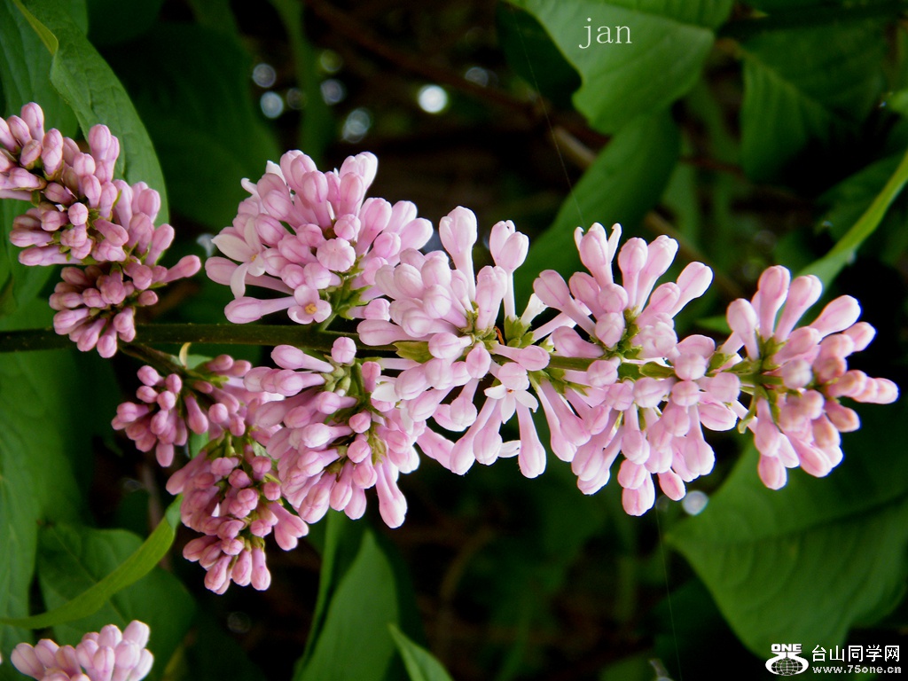 DSCF5878.JPG
