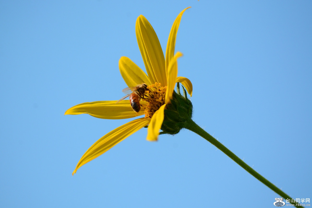 DSC_5280_42.jpg
